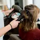 brushing dans un salon de coiffure